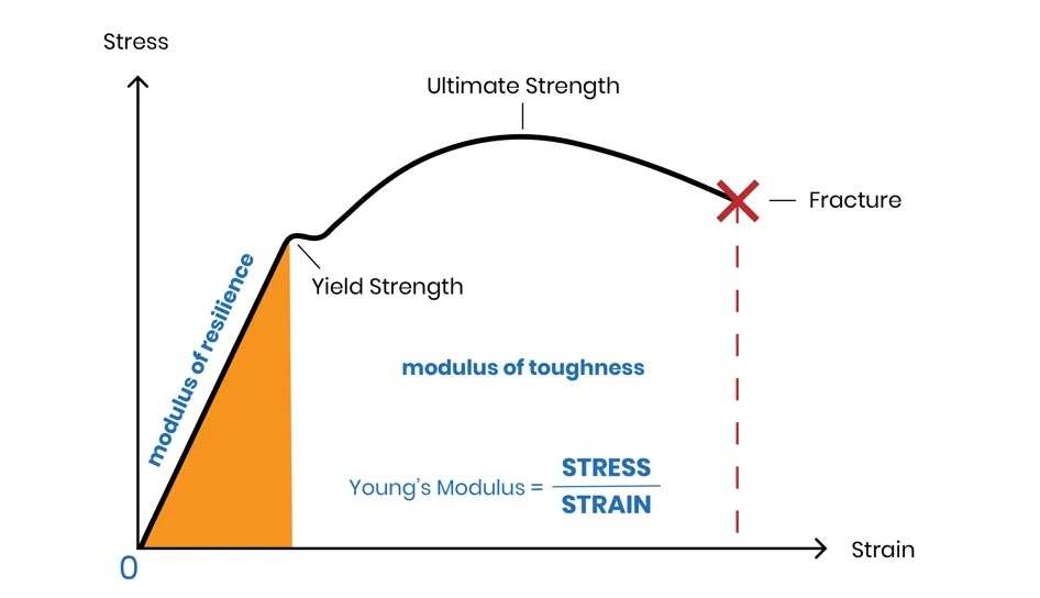 Graphical Representation of Young’s modulus