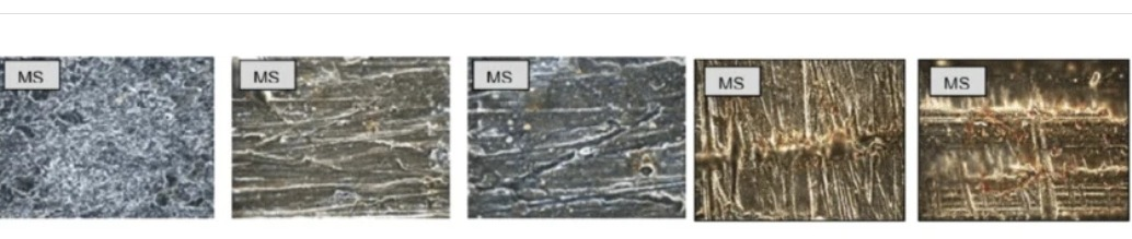 morphological corrosion of aluminium and mild steel1